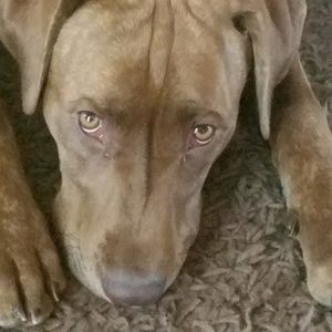 Meet your Posher, April